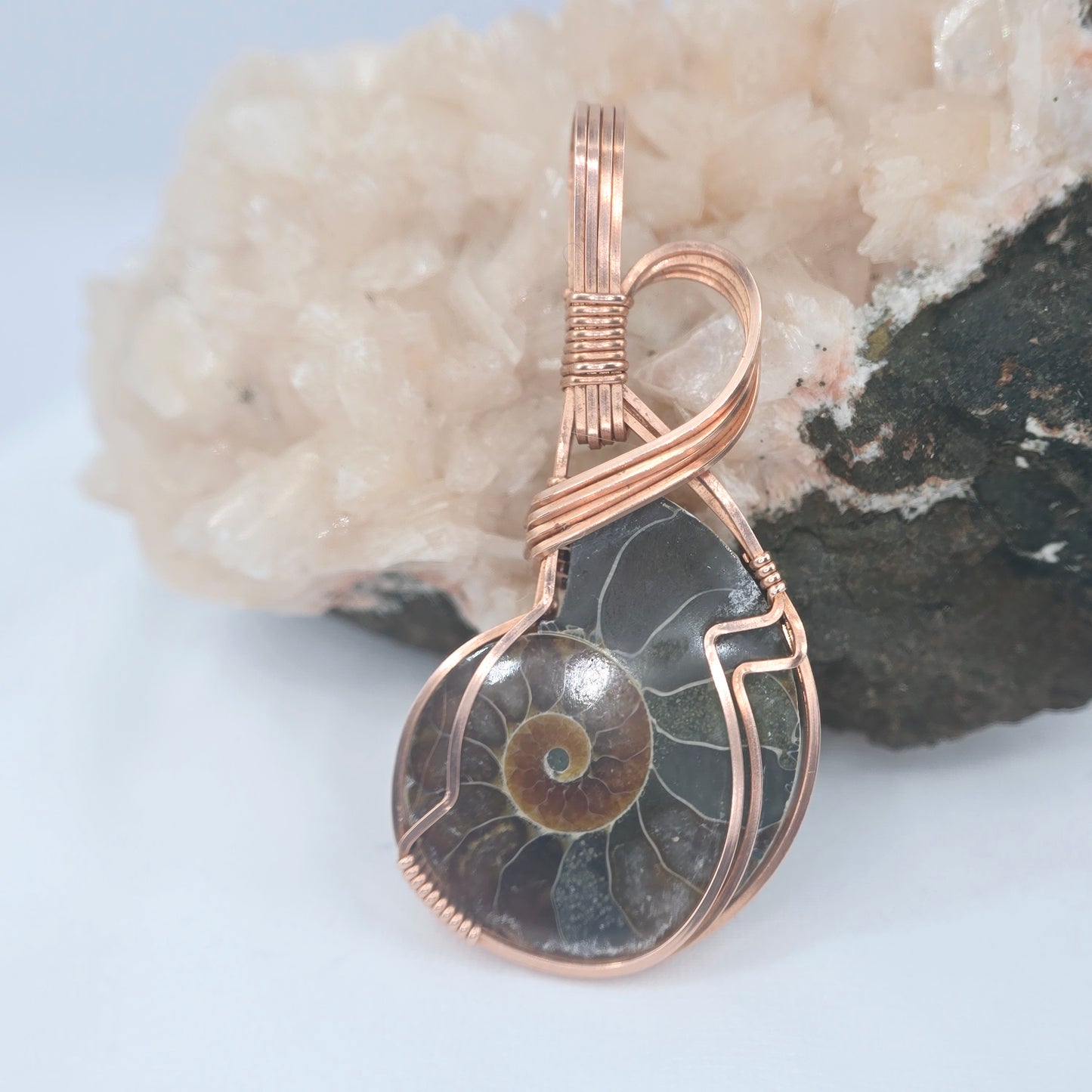 Ammonite Fossil Wrapped In Copper